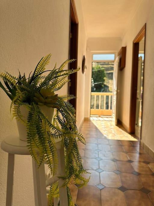 Casa De Sergude Peso da Régua Esterno foto