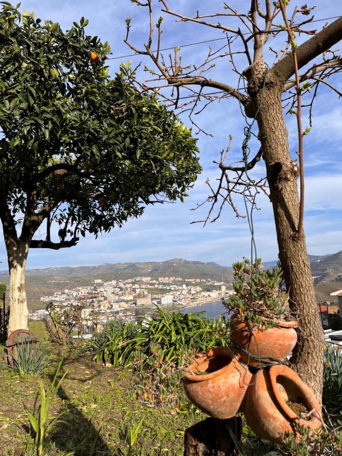 Casa De Sergude Peso da Régua Esterno foto