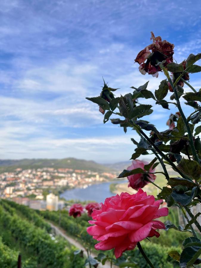 Casa De Sergude Peso da Régua Esterno foto